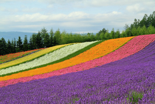 650889 (a): :1920x1280